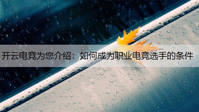 开云电竞为您介绍：如何成为职业电竞选手的条件