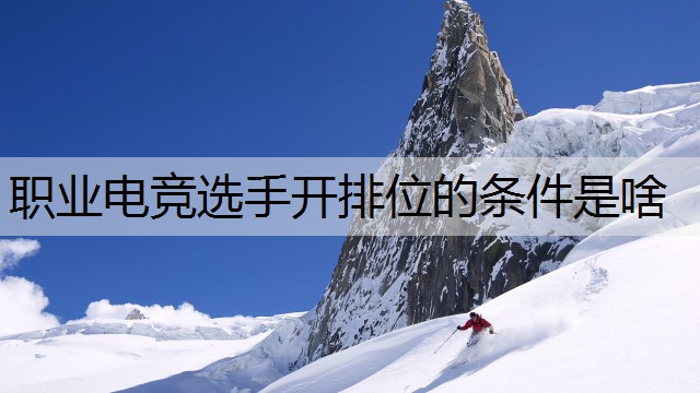 职业电竞选手开排位的条件是啥