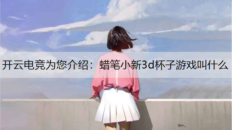 开云电竞为您介绍：蜡笔小新3d杯子游戏叫什么
