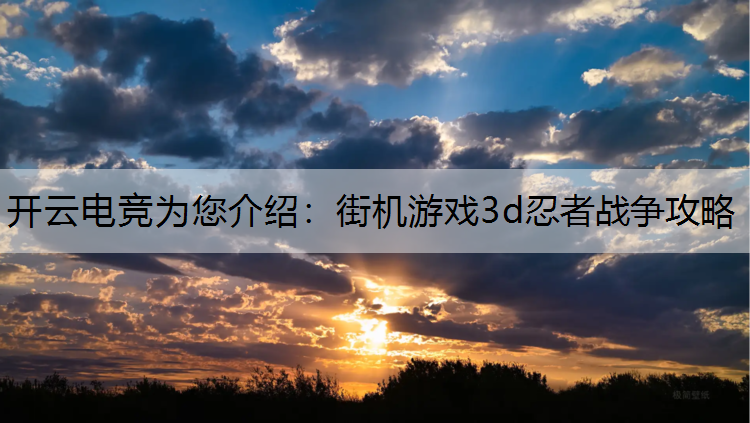 开云电竞为您介绍：街机游戏3d忍者战争攻略