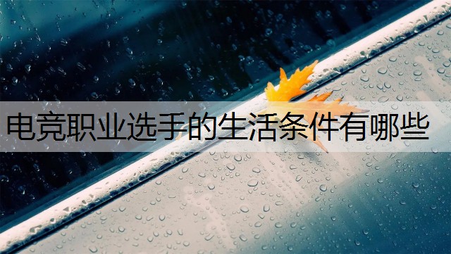 电竞职业选手的生活条件有哪些